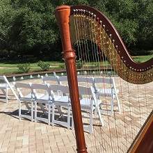 Wedding Leu Gardens Rose Garden